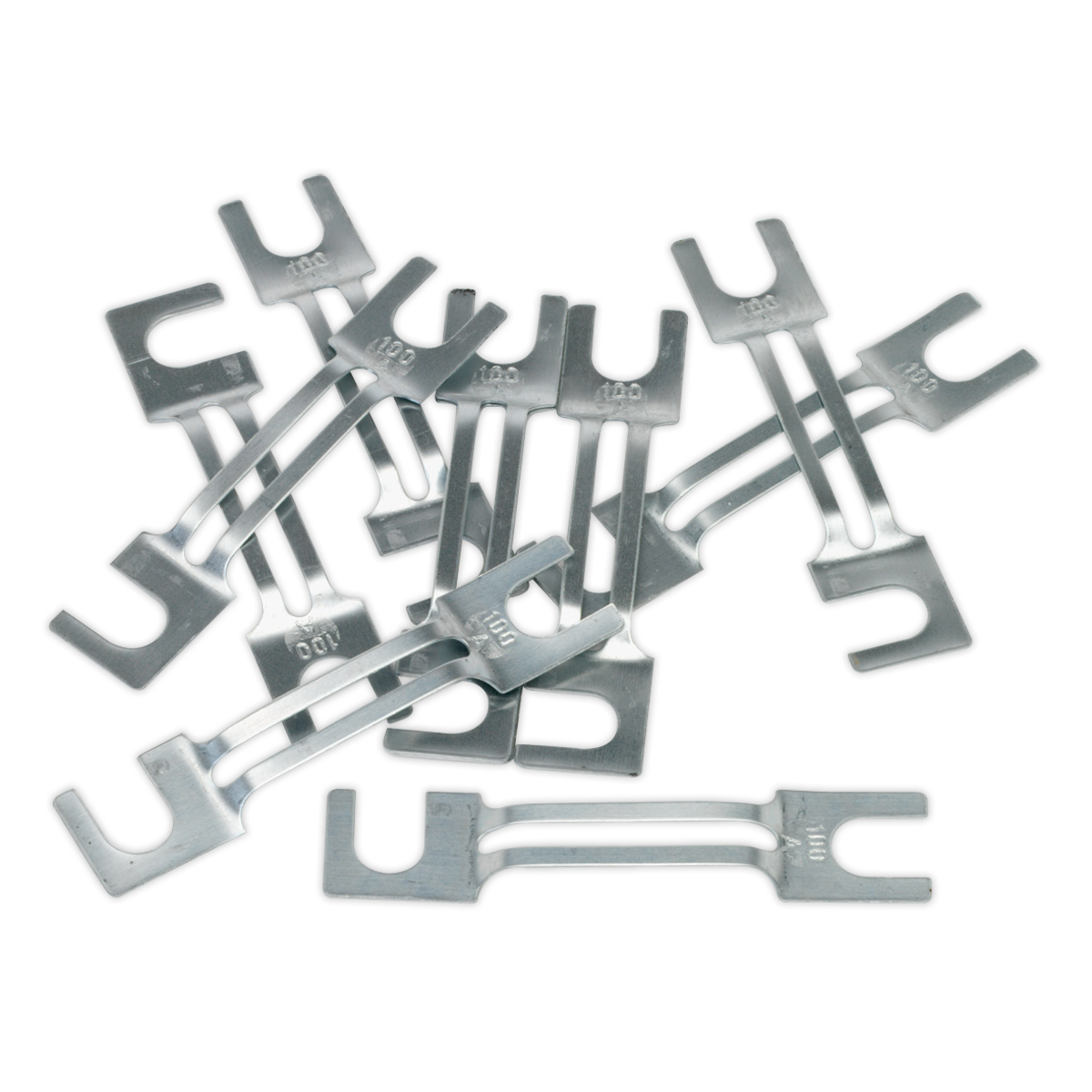 Fuse 100A - Large Type - Pack of 10
