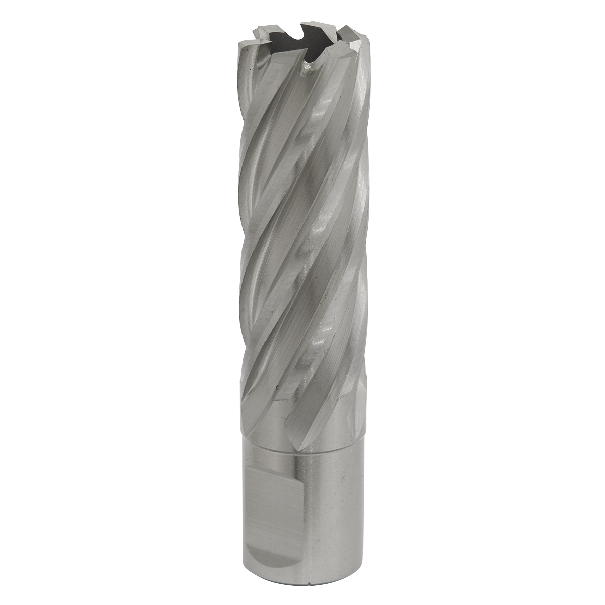 Ø20mm Rotabor Cutter HSS - Cut Depth 50mm