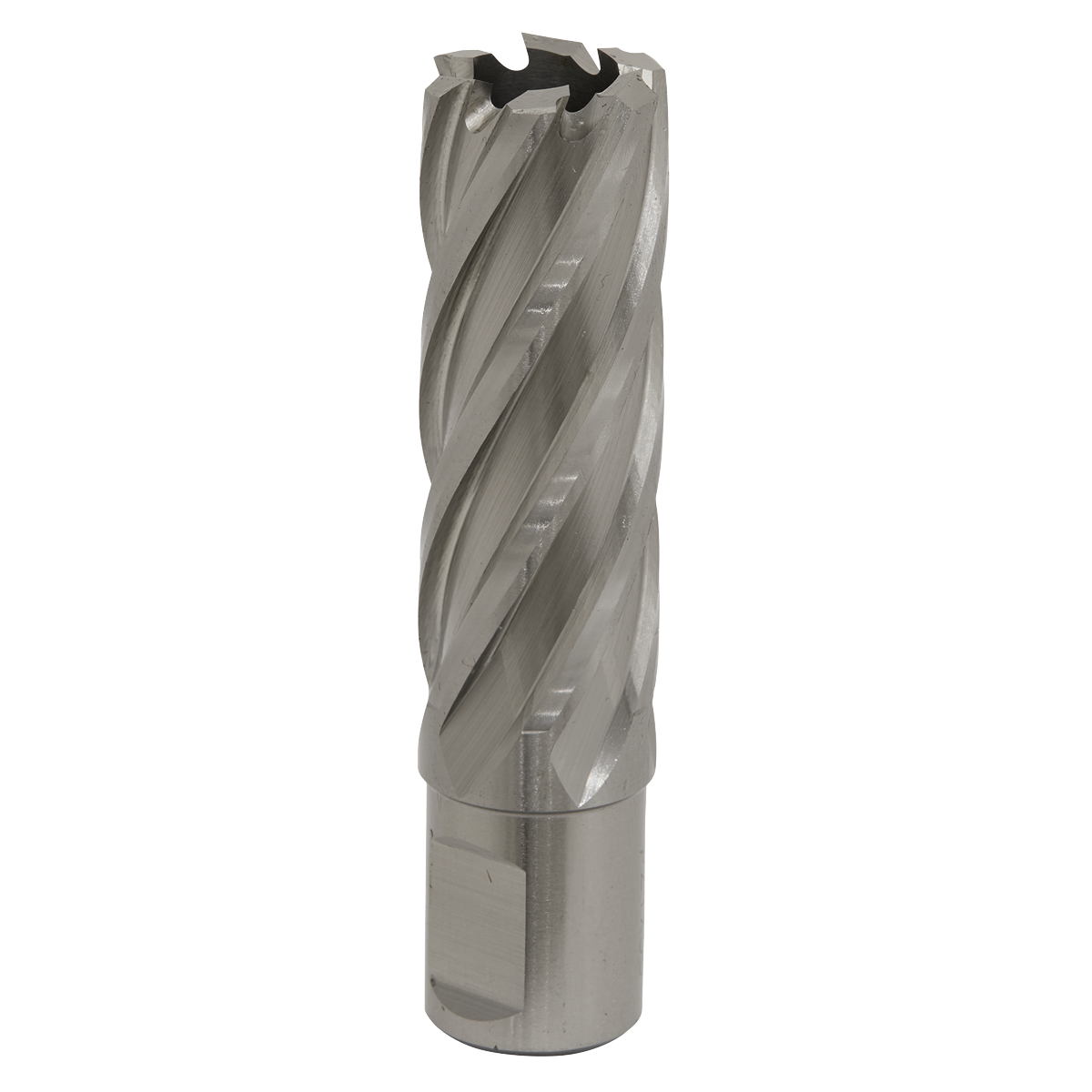 Ø21mm HSS Rotabor Cutter - Cut Depth 50mm