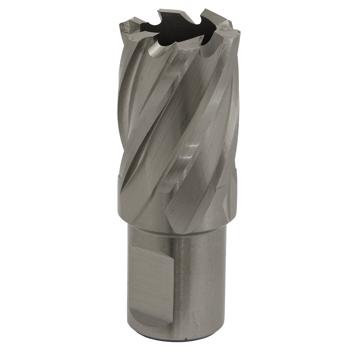 Ø22mm Rotabor Cutter HSS - Cut Depth 25mm
