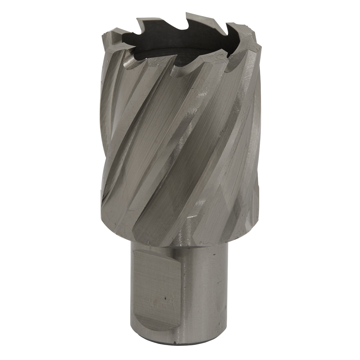 Ø33mm Rotabor Cutter HSS - Cut Depth 25mm