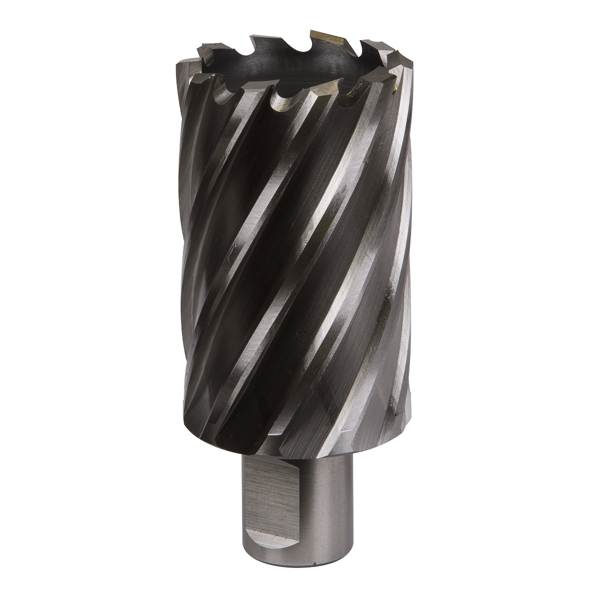 Ø39mm HSS Rotabor Cutter - Cut Depth 50mm