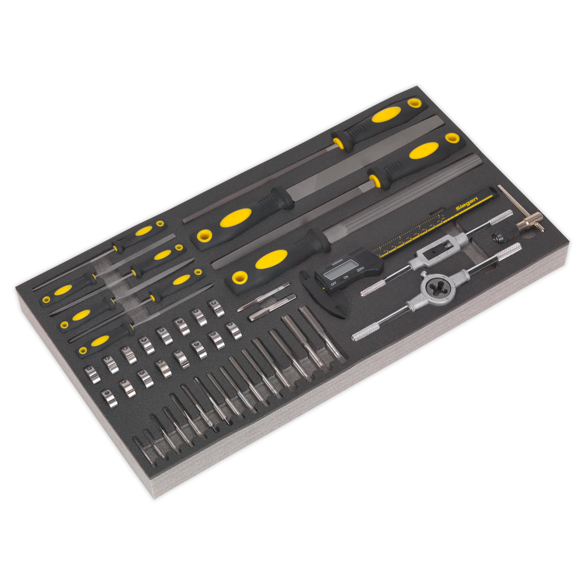 48pc Tap & Die, File & Caliper Set with Tool Tray