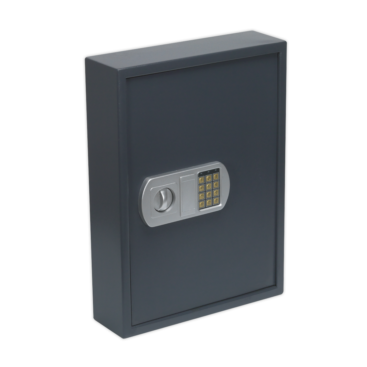 100 Key Capacity Electronic Key Cabinet