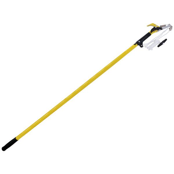 Extending Tree Pruning Saw & Lopper 2M Garden