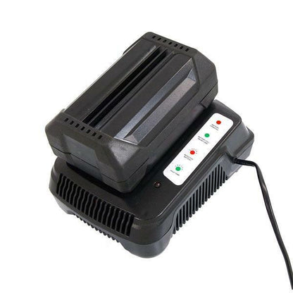 Neilsen 36v Li-Ion Battery Charger 1.4Act for battery CT3819