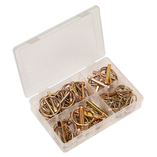 50pc Linch Pin Assortment - Metric