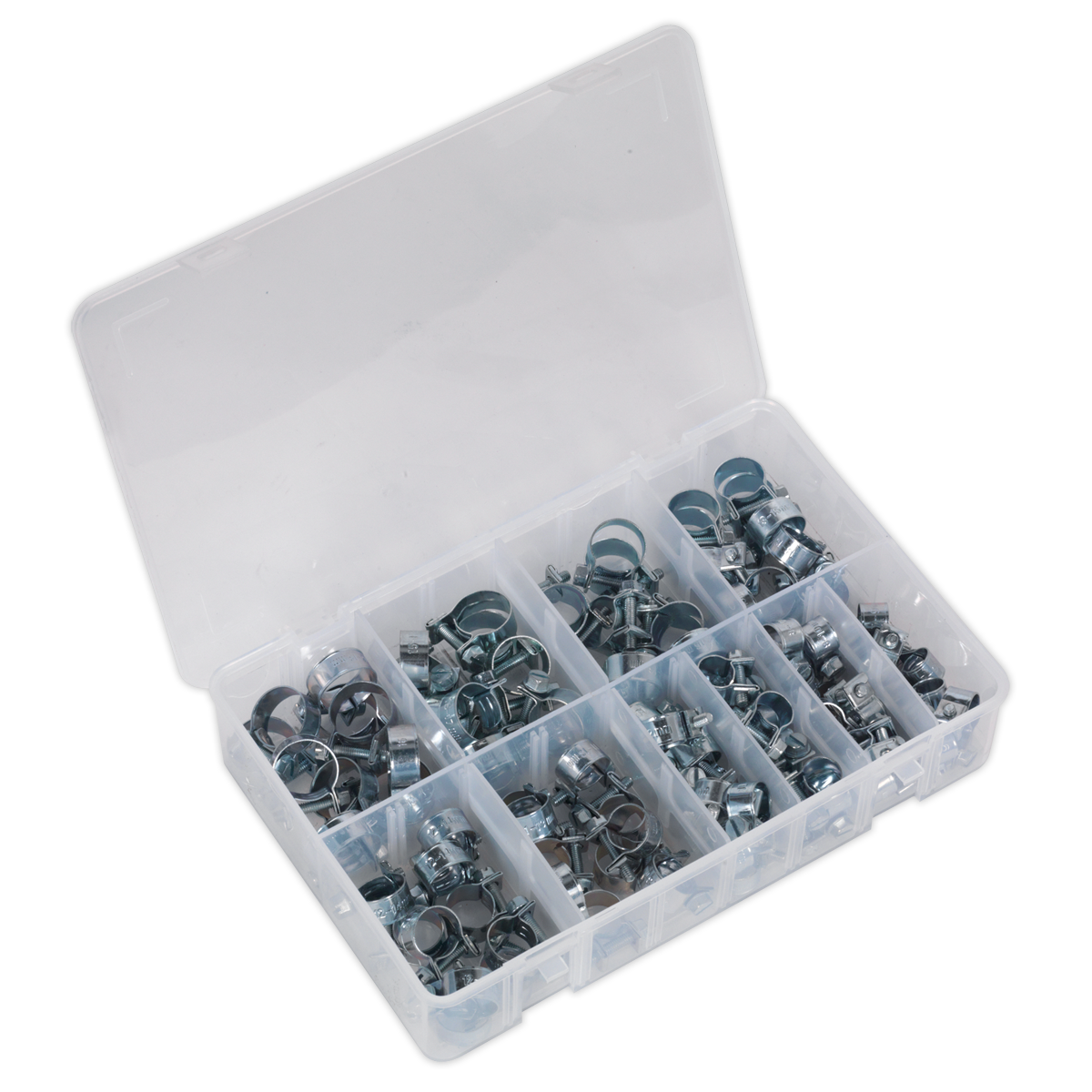 100pc Mini Hose Clip Assortment DIN 1.0338