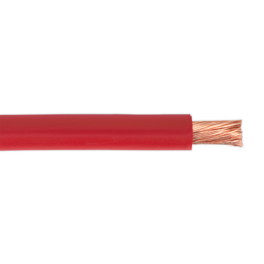 10m 170A 196/0.40mm Automotive Starter Cable - Red