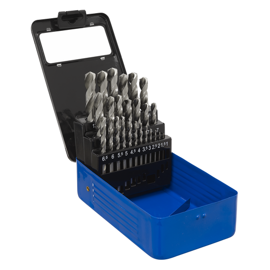 25pc HSS Fully Ground Drill Bit Set