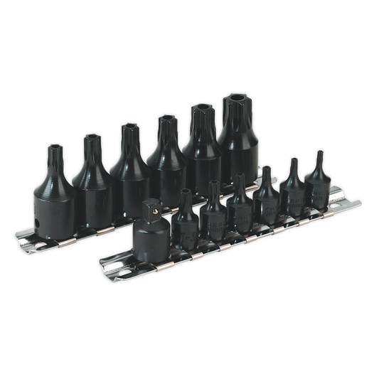 13pc 1/4" & 3/8"Sq Drive TRX-Star* Security Socket Bit Set