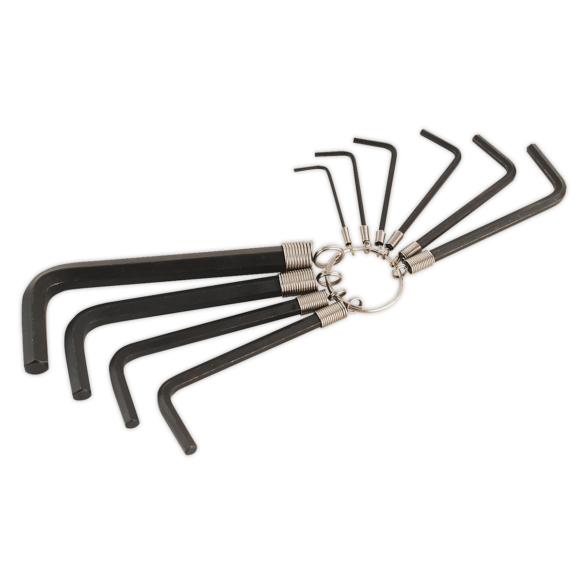 10pc Hex Key Set on Ring