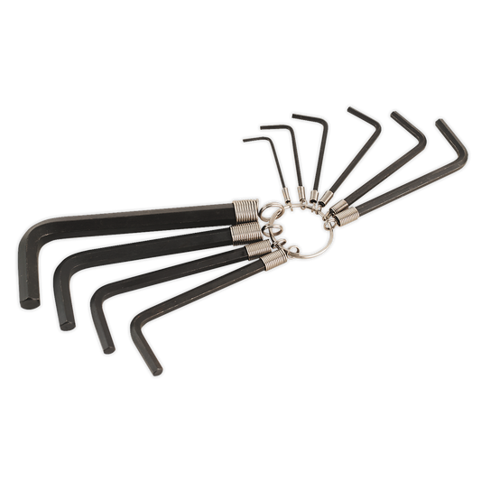 10pc Hex Key Set on Ring