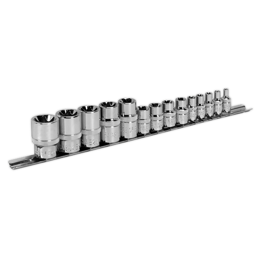 14pc 1/4", 3/8" & 1/2"Sq Drive TRX-Star* Socket Set - E4-E24