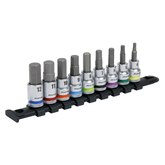 9pc 3/8"Sq Drive Hex Socket Bit Set - Platinum
