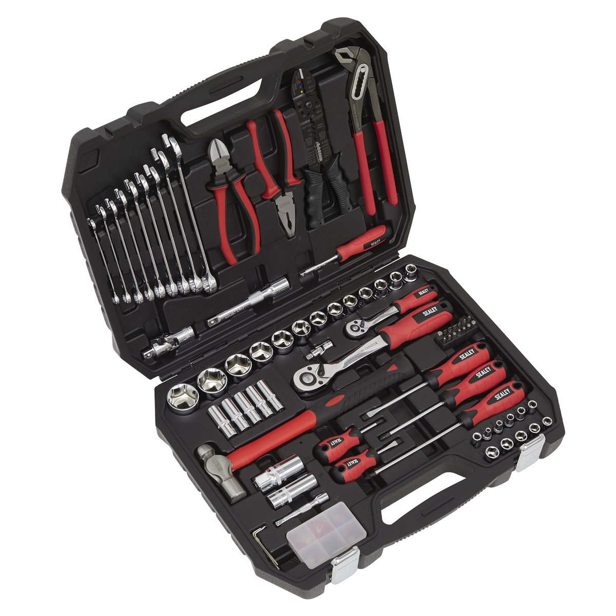 100pc Mechanic's Tool Kit