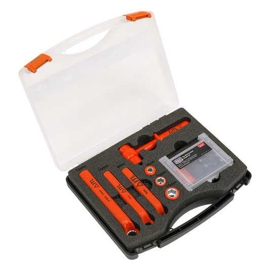 19pc Hybrid & Electric Vehicle Battery Tool Kit