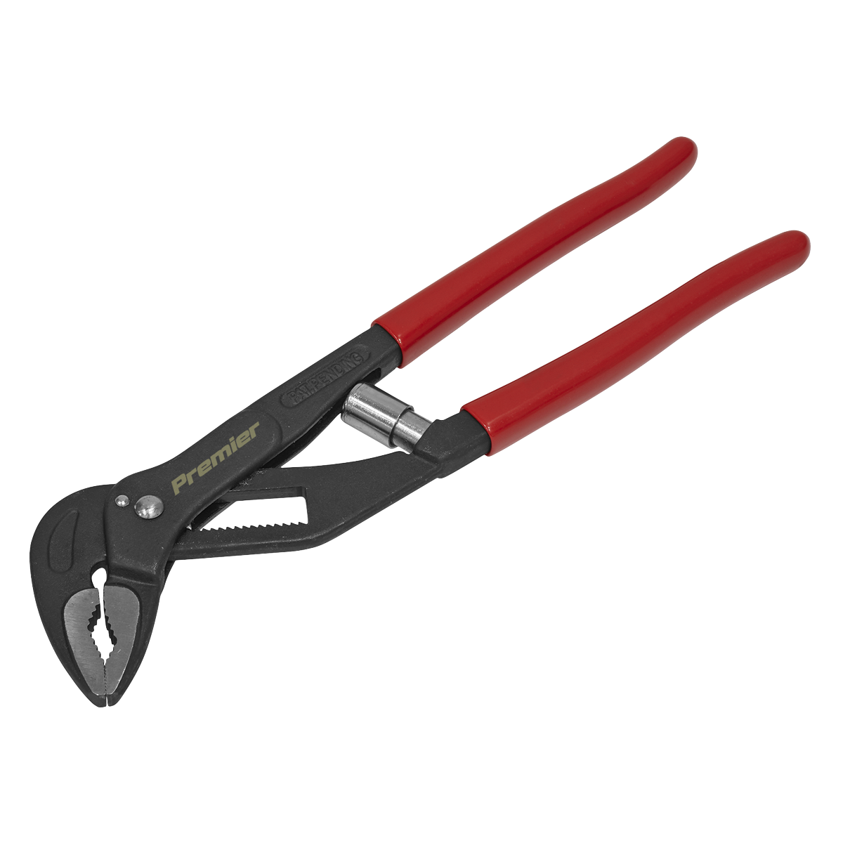 250mm Self-Adjusting Water Pump Pliers