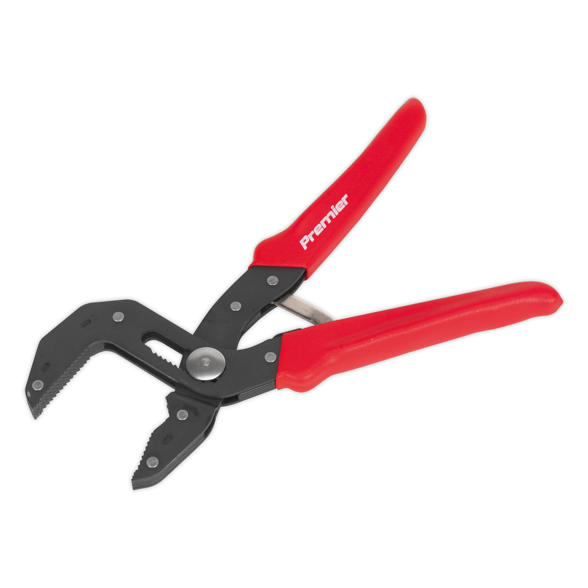 250mm Self-Adjusting Multi-Grip Pliers