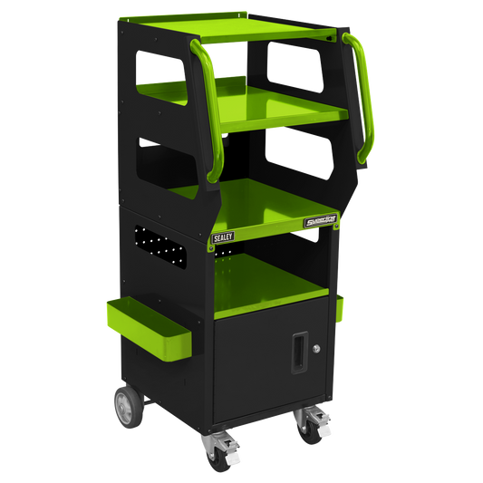 4-Level Multipurpose Trolley for Diagnostics