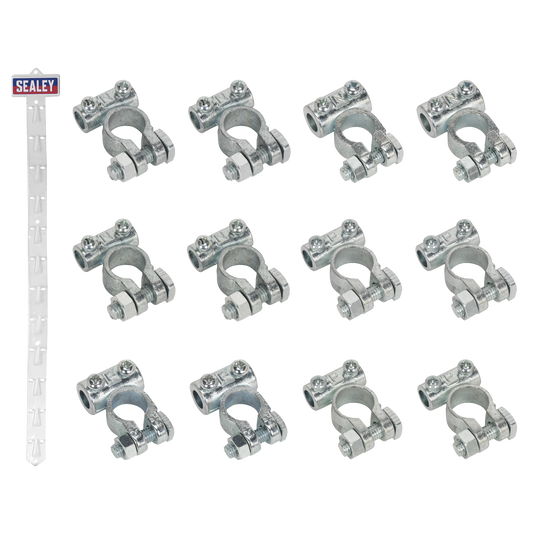 Clip Strip Deal - Battery Terminals