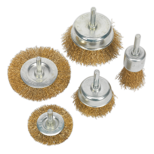 5pc Wire Brush Set