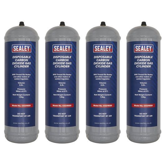 1.3kg Disposable Carbon Dioxide Gas Cylinder - Pack of 4