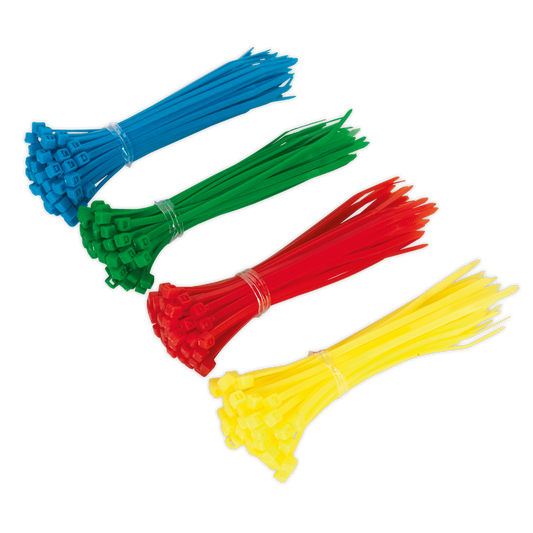 100 x 2.5mm Cable Tie Assortment - Pack of 200