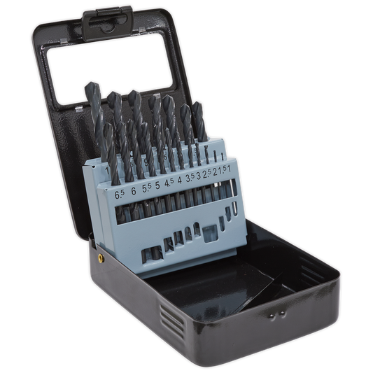 19pc HSS Roll Forged Drill Bit Set