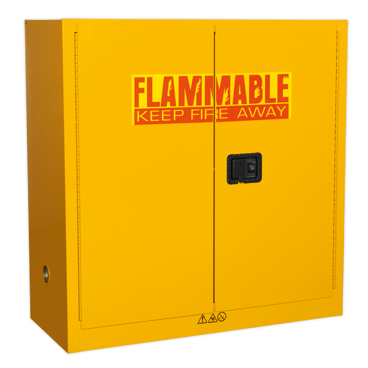 1095 x 460 x 1120mm Flammables Storage Cabinet