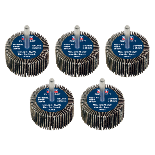 Ø50 x 25mm 6mm Shaft Flap Wheel 60Grit - Pack of 5