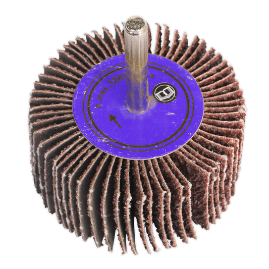 Ø60 x 30mm Flap Wheel 6mm Shaft 80Grit