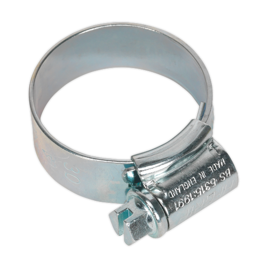 Ø22-30mm Zinc Plated HI-GRIP® Hose Clip - Pack of 20