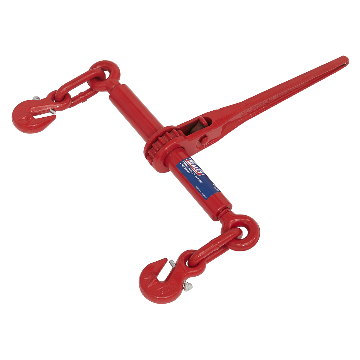 2500kg Capacity Ratchet Load Binder 7.9-9.5mm