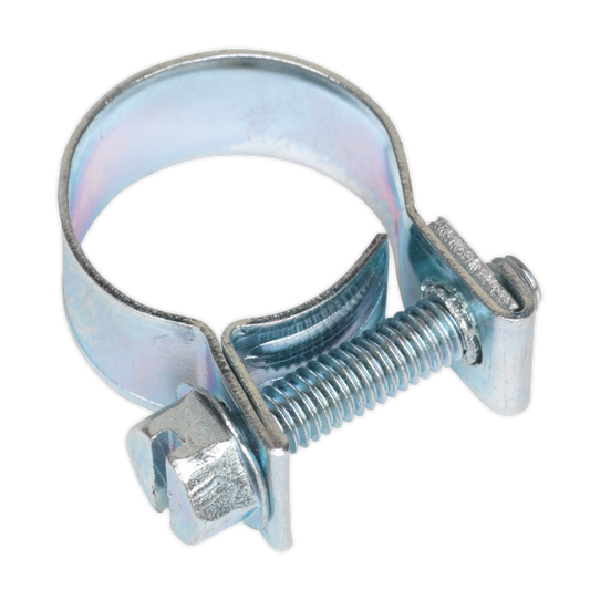 Ø14-16mm Mini Hose Clip - Pack of 20