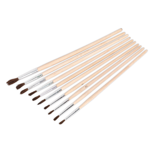 10pc Wooden Handled Touch-Up Paint Brush Assortment