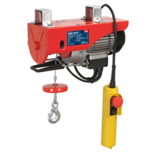 250kg Capacity Power Hoist