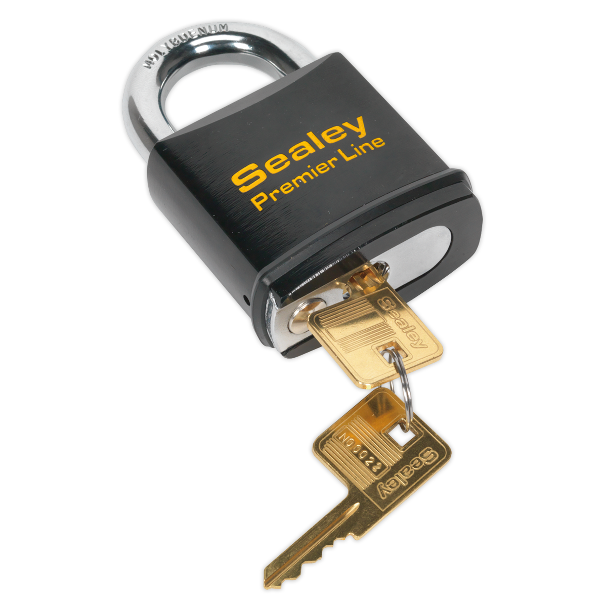 61mm Steel Body Padlock