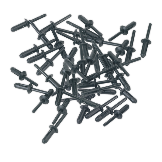 Ø6.6 x 17.2mm Plastic Rivet - Pack of 50