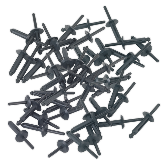 Ø6.3 x 25.2mm Plastic Rivet - Pack of 50