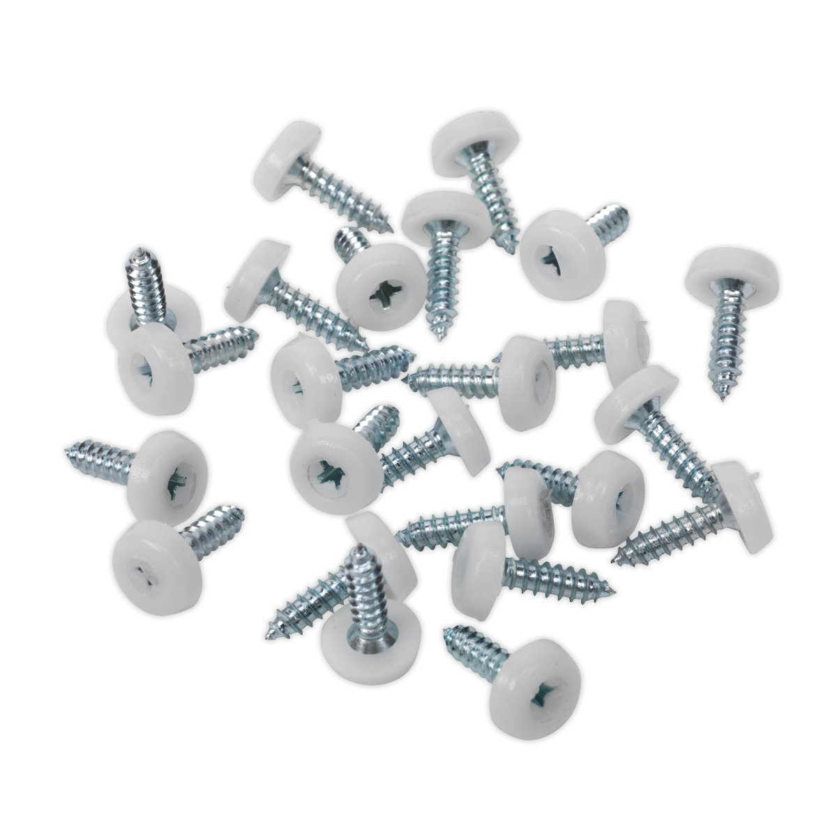 4.8 x 18mm White Numberplate Screw - Pack of 50