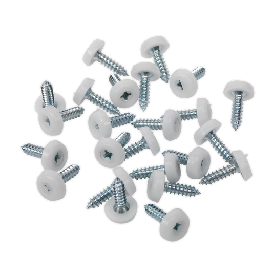 4.8 x 18mm White Numberplate Screw - Pack of 50