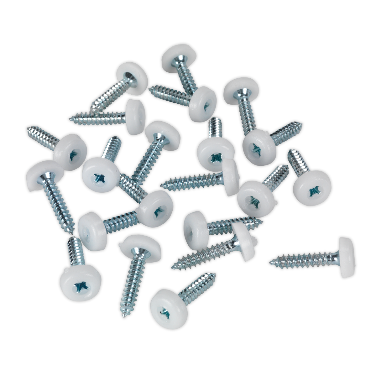 4.8 x 24mm White Numberplate Screw - Pack of 50