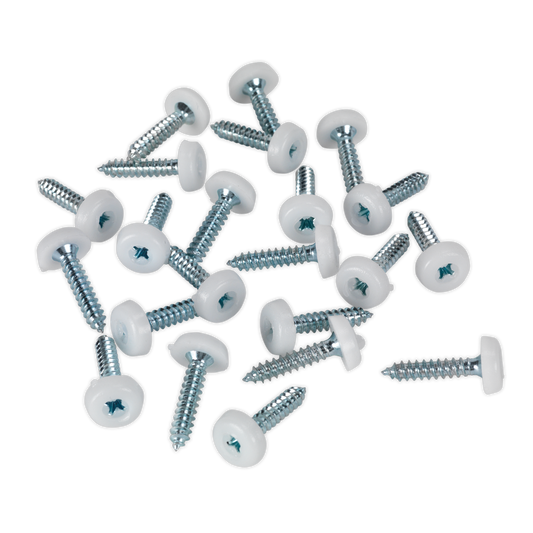 4.8 x 24mm White Numberplate Screw - Pack of 50