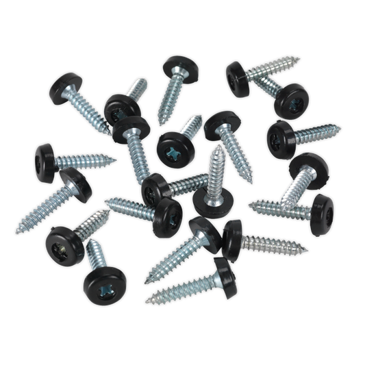 4.8 x 24mm Plastic Enclosed Head Black Numberplate Screw - Pack of 50