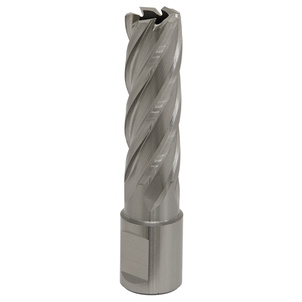 Ø17mm Rotabor Cutter HSS - Cut Depth 50mm