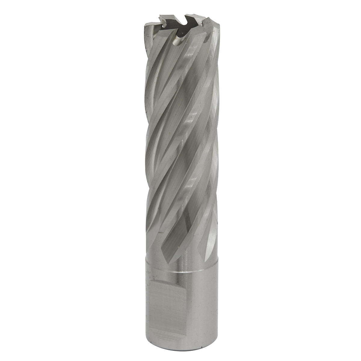 Ø19mm Rotabor Cutter HSS - Cut Depth 50mm