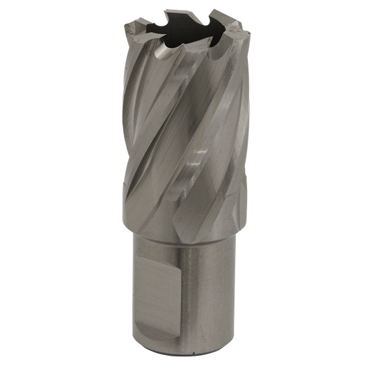 Ø23mm HSS Rotabor Cutter - Cut Depth 25mm
