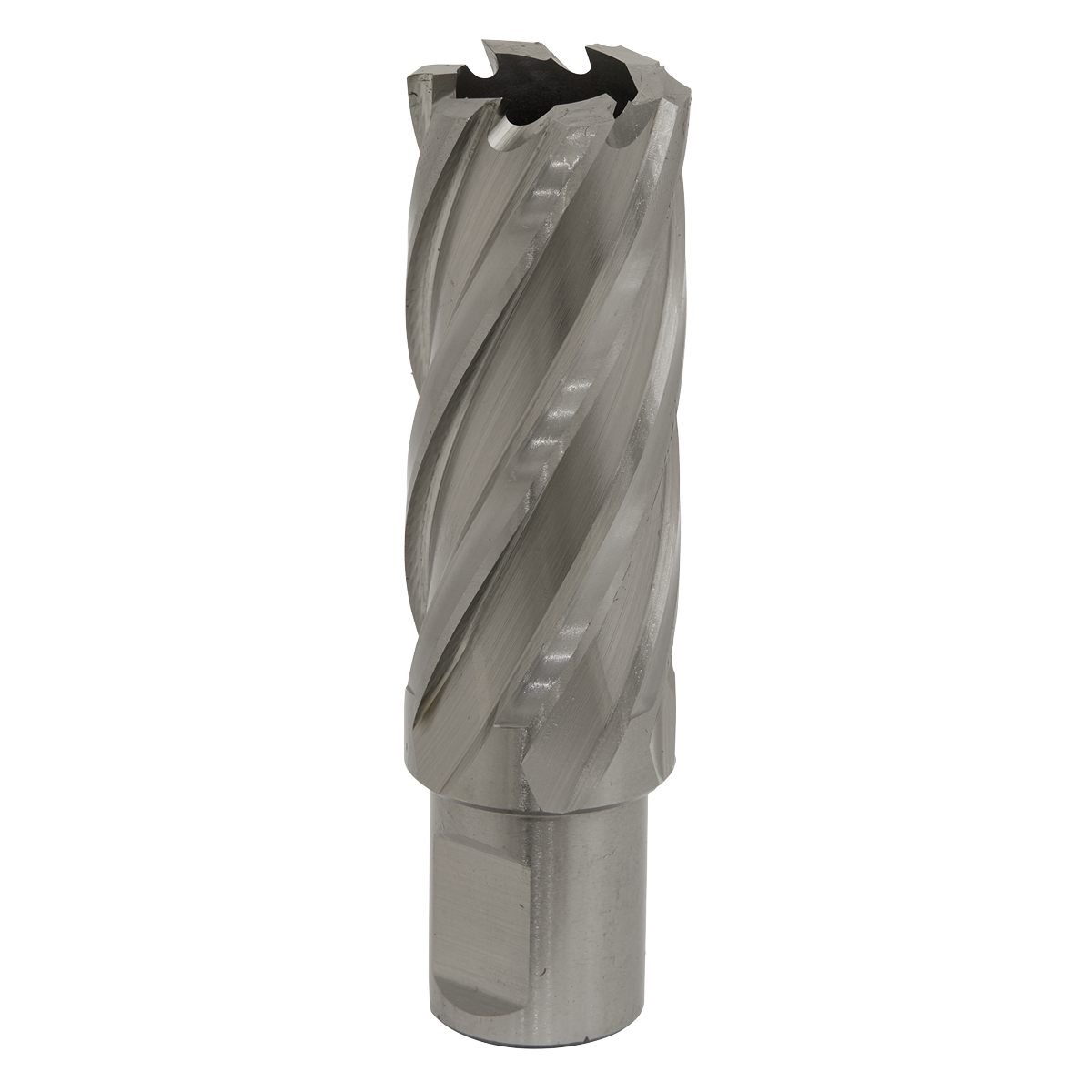 Ø24mm HSS Rotabor Cutter - Cut Depth 50mm