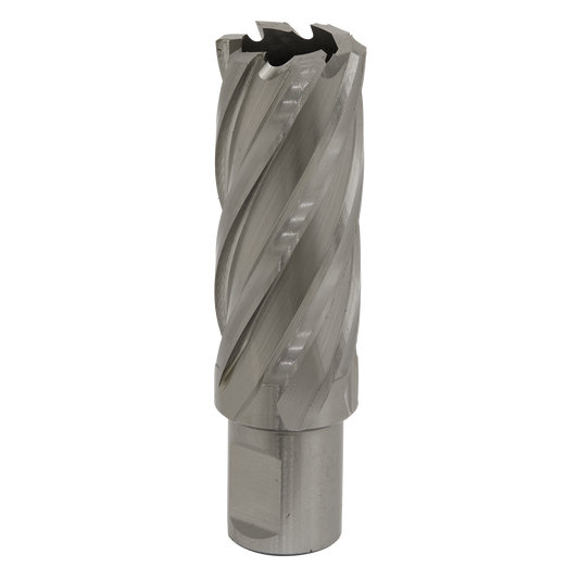 Ø24mm HSS Rotabor Cutter - Cut Depth 50mm